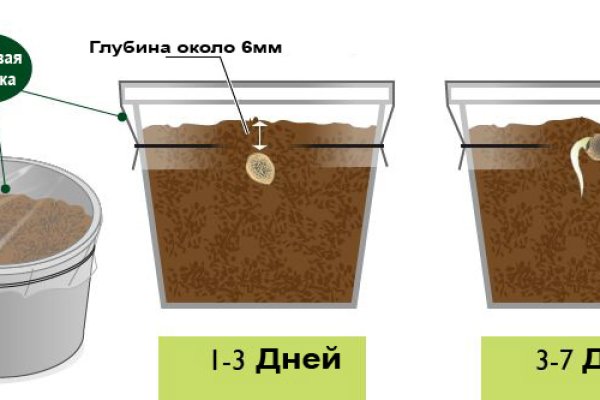 Кракен даркнет купить