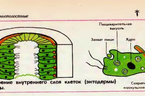 Кракен это даркнет