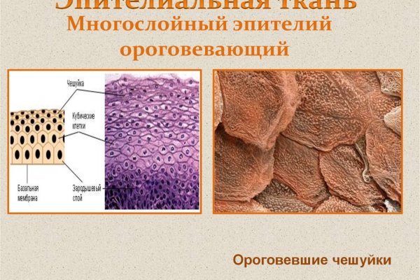 Кракен зеркало 2