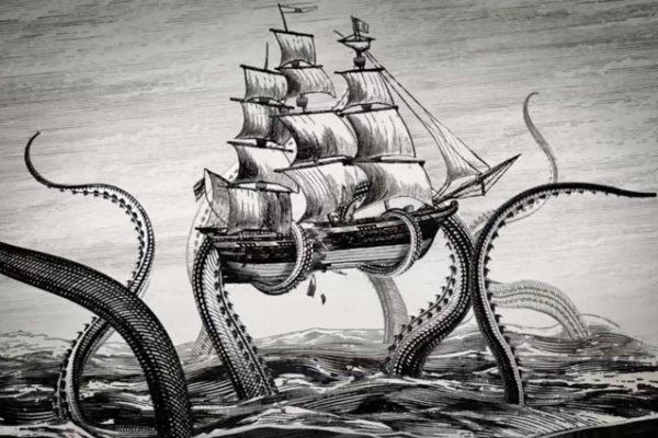 Kraken19 at